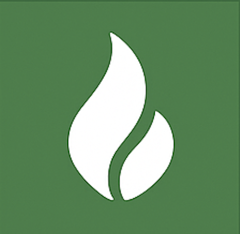 Логотип RITUAL 7.24